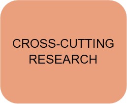 Cross-cutting Research Areas