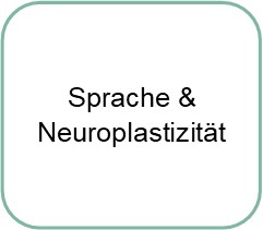 Neuromodulation und angewandte Neuroplastizität