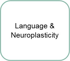 neuromodulation and applied neuroplasticity